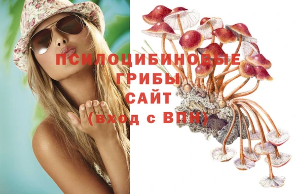 spice Абаза