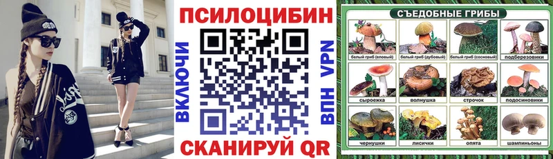 KRAKEN ссылки Калачинск Галлюциногенные грибы мицелий
